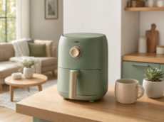 Compact Sage Green Minimalist Mini Air Fryer